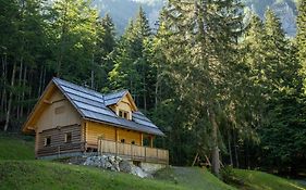 Alpine Loghouse Planšarska bajta Matkov Kot